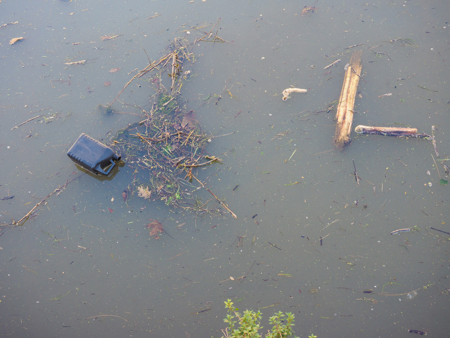 Water pollution in waterway canal